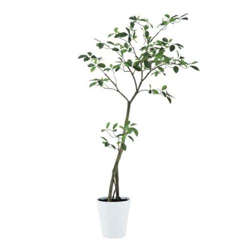 人工観葉植物 ガジュマル FST 150 ポット付き 高さ150cm （P51-91812) （代引...