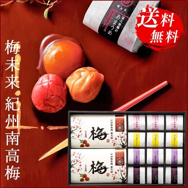 梅干し 紀州 南高梅 個包装 ギフト 梅未来 53 | 内祝い お返し お礼の品 香典返し 法事 お...