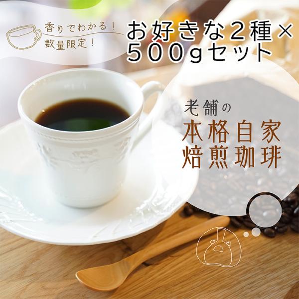 自家焙煎 コーヒー豆 珈琲豆 直火 煎りたて お試し 2種×500g 1kg 粉 豆 珈琲問屋 オリ...
