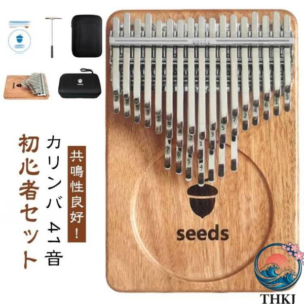 親指ピアノ 41 音 初心者セット 楽器 教本  入門書 チューニング済み 指サック サムピアノ 楽...
