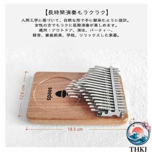 親指ピアノ 41 音 初心者セット 楽器 教本...の詳細画像2