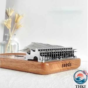 親指ピアノ 41 音 初心者セット 楽器 教本...の詳細画像4