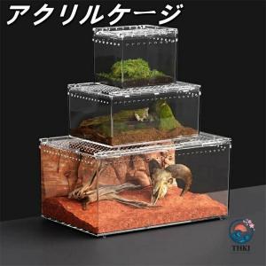 爬虫類ケージ アクリルケージ 飼育ケース 透明 通気ケージ 給餌箱 飼育容器 アクリル 昆虫飼育ケース 爬虫類用飼育ケージ 使いやすい おすすめ 人気