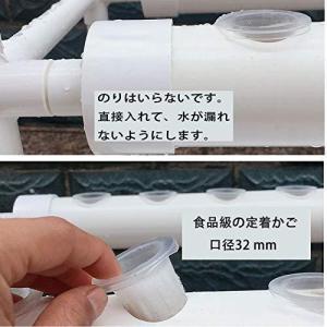 水耕栽培キット すいこう栽培キット 野菜 栽培...の詳細画像2