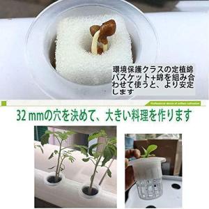 水耕栽培キット すいこう栽培キット 野菜 栽培...の詳細画像3