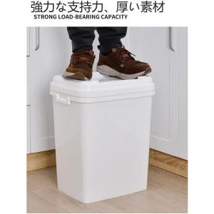 米びつ 30kg 20kg ライスストッカー ...の詳細画像2