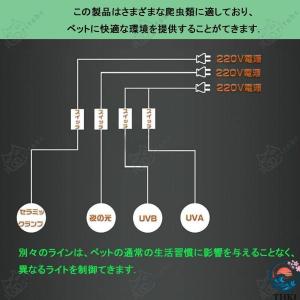 爬虫類ケージ ケース トカゲ 飼育セット 60...の詳細画像5