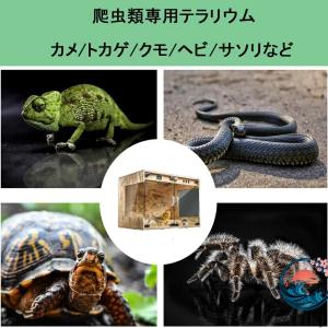 爬虫類ケージ ケース トカゲ 飼育セット 60...の詳細画像4