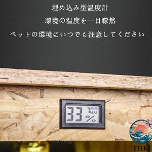 爬虫類ケージ ケース トカゲ 飼育セット 60...の詳細画像5