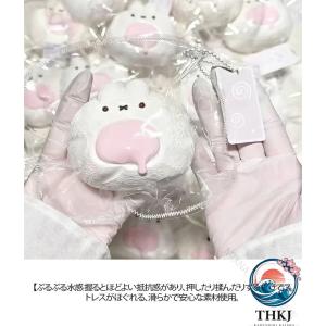 水感癒し系 クイーズ玩具 で話題 もちもち 水...の詳細画像3