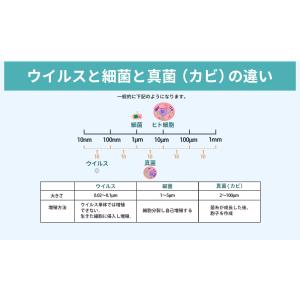 抗ウイルス・抗菌レースカーテン FLUTECT...の詳細画像2