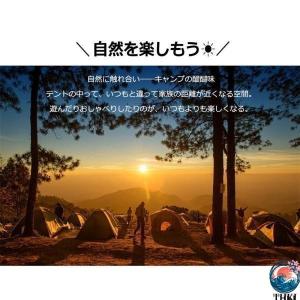 パップテント 軍幕テント 1人用 2人用 コン...の詳細画像1