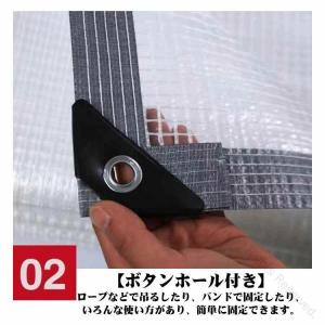 2×4m 2×3m 3×3m 屋外用透明ビニー...の詳細画像2