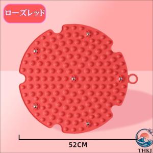足ツボマット 2代目さくらモデル 足ツボ押し ...の詳細画像1