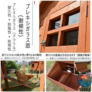 鶏小屋 屋外 木製 大型 鶏舎 ヘンハウス 砂...の詳細画像4