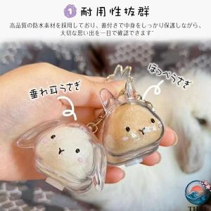 ウサギの毛収納ボトル うさぎ毛収納 キーホルダ...の詳細画像1