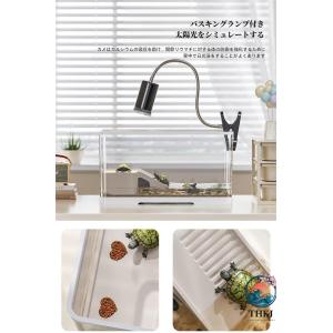 亀の飼育ケース 亀 水槽 大きい カメ用水槽 ...の詳細画像2