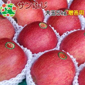 りんご 贈答 大玉 青森県産 サンふじ 特選 大玉 5kg  産地直送 産直 御歳暮 歳暮 内祝い プレゼント 内祝 お返し 贈答品 食べ物 旬の くだもの 果物