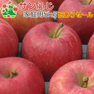 りんご 訳あり 青森県産 サンふじ 家庭用 キズあり 5kg 普通冷蔵
