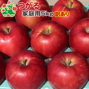 りんご 訳あり 青森県産 葉とらず サン つがる 家庭用 キズあり 5kg 産地直送 産直自宅用 ワケあり お試し 試食 食べ物 旬の くだもの 果物