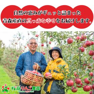 りんご 訳あり 青森県産 葉とらず サン つが...の詳細画像2