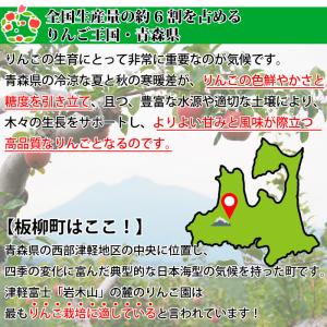りんご 訳あり 青森県産 葉とらず サン つが...の詳細画像3