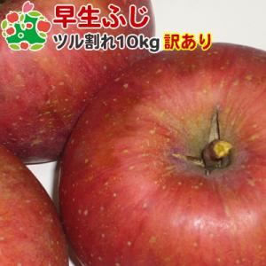 りんご 訳あり 青森県産 早生ふじ ツル割れ 10kg