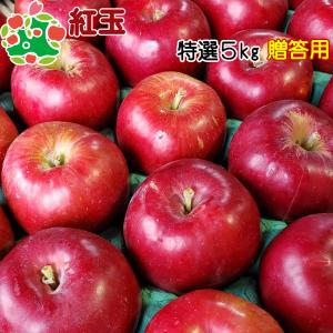 りんご 贈答 青森県産 紅玉 特選 5kg