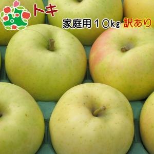 りんご 訳あり 青森県産 トキ 家庭用 キズあり 10kg 産地直送 産直自宅用 ワケあり お試し 試食 食べ物 旬の くだもの 果物