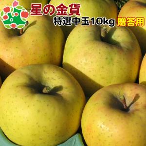 りんご 贈答 青森県産 星の金貨 特選 中玉 10kg 産地直送 産直 御歳暮 歳暮 内祝い プレゼント 内祝 お返し 贈答品 食べ物 旬の くだもの 果物
