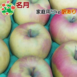 りんご 訳あり 青森県産 名月 家庭用 キズあり 5kg 産地直送 産直 自宅用 ワケあり お試し 試食 食べ物 旬の くだもの 果物