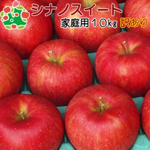 りんご 訳あり 青森県産 シナノスイート 家庭用 キズあり 10kg 産地直送 産直 自宅用 ワケあり お試し 試食 食べ物 旬の くだもの 果物