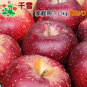 りんご 訳あり 青森県産 千雪 家庭用 キズあり 10kg 産地直送 産直 御歳暮 歳暮 内祝い プレゼント 内祝 お返し 贈答品 食べ物 旬の くだもの 果物