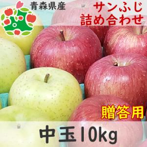 りんご 贈答 青森県産 サンふじ 詰め合わせ 特選 中玉 10kg  産地直送 産直 御歳暮 歳暮 内祝い プレゼント 内祝 お返し 贈答品 食べ物 旬の 果物