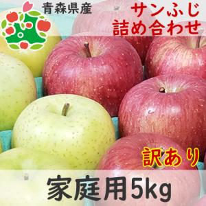 りんご 訳あり 青森県産 サンふじ 詰め合わせ 家庭用 キズあり 5kg  産地直送 産直 御歳暮 歳暮 内祝い プレゼント 内祝 贈答品 食べ物 旬の 果物