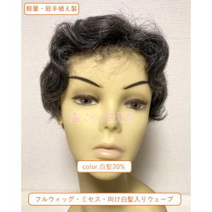フルウィッグ ミセス hm220s 白髪20%...の詳細画像1