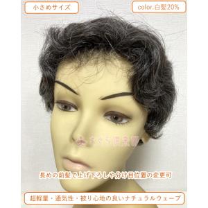 フルウィッグ ミセス hm220s 白髪20%...の詳細画像2