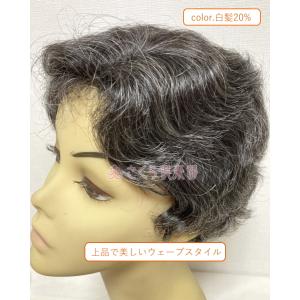 フルウィッグ ミセス hm220s 白髪20%...の詳細画像5