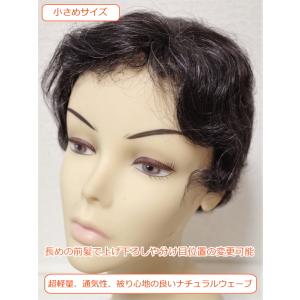 フルウィッグ ミセス hm220s 白髪5% ...の詳細画像3