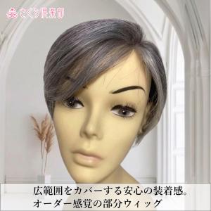 白髪入りミセス向き部分ウィッグ 人毛100% ...の詳細画像1