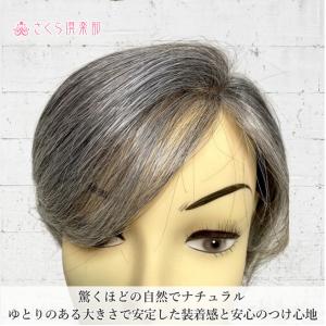 白髪入りミセス向き部分ウィッグ 人毛100% ...の詳細画像4