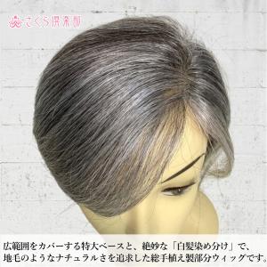白髪入りミセス向き部分ウィッグ 人毛100% ...の詳細画像5