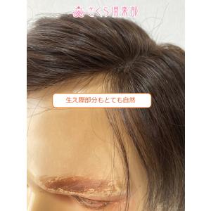 メンズウィッグ 人毛100%部分ウィッグ 左分...の詳細画像5