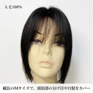 部分ウィッグロング 人毛100% top-10...の詳細画像2