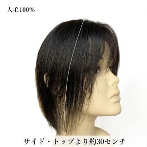 部分ウィッグロング 人毛100% top-10...の詳細画像3