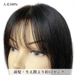部分ウィッグロング 人毛100% top-10...の詳細画像5