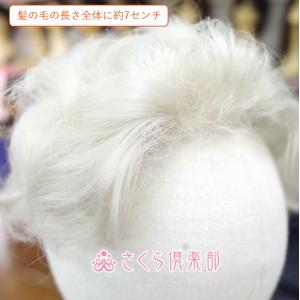 部分ウィッグ 女性 レディース 穴あき 白髪1...の詳細画像1