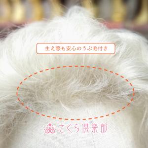 部分ウィッグ 女性 レディース 穴あき 白髪1...の詳細画像2