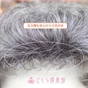 部分ウィッグ 穴あき 白髪40% ミセス向け ...の詳細画像2