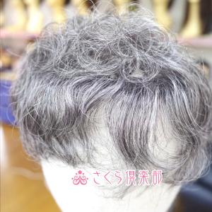 部分ウィッグ 穴あき 白髪40% ミセス向け ...の詳細画像3